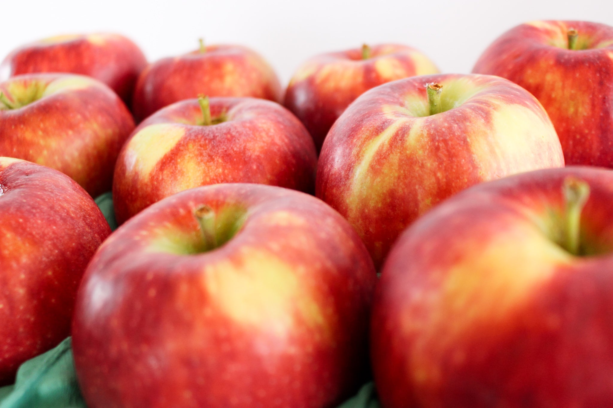 販売中の商品一覧 - 木戸脇果樹園