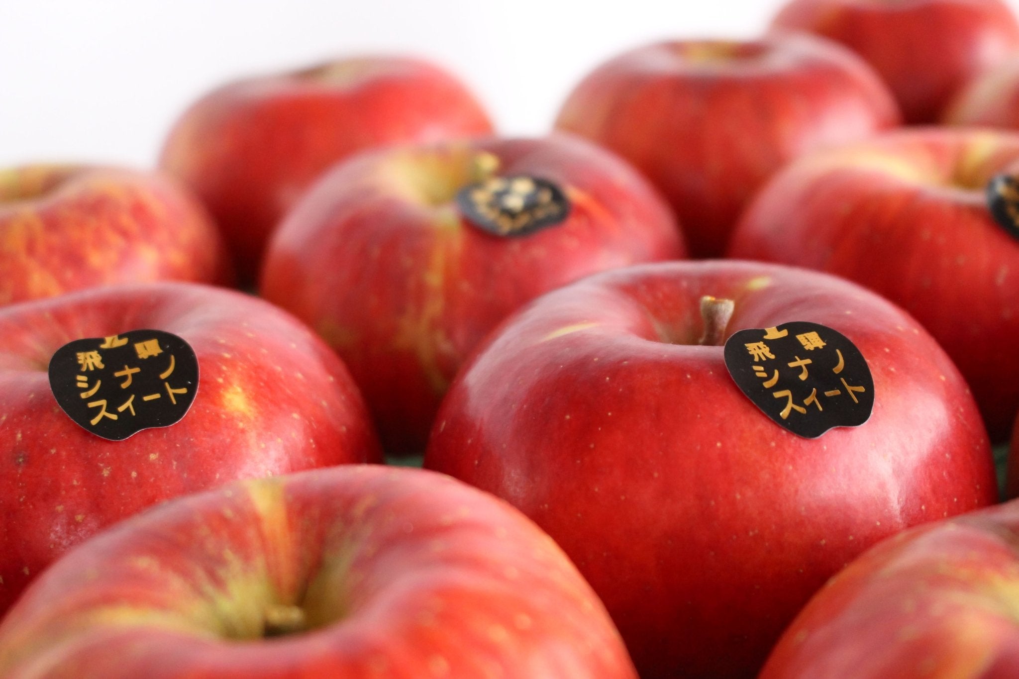 (贈答用・秀品)シナノスイート 5kg - 木戸脇果樹園