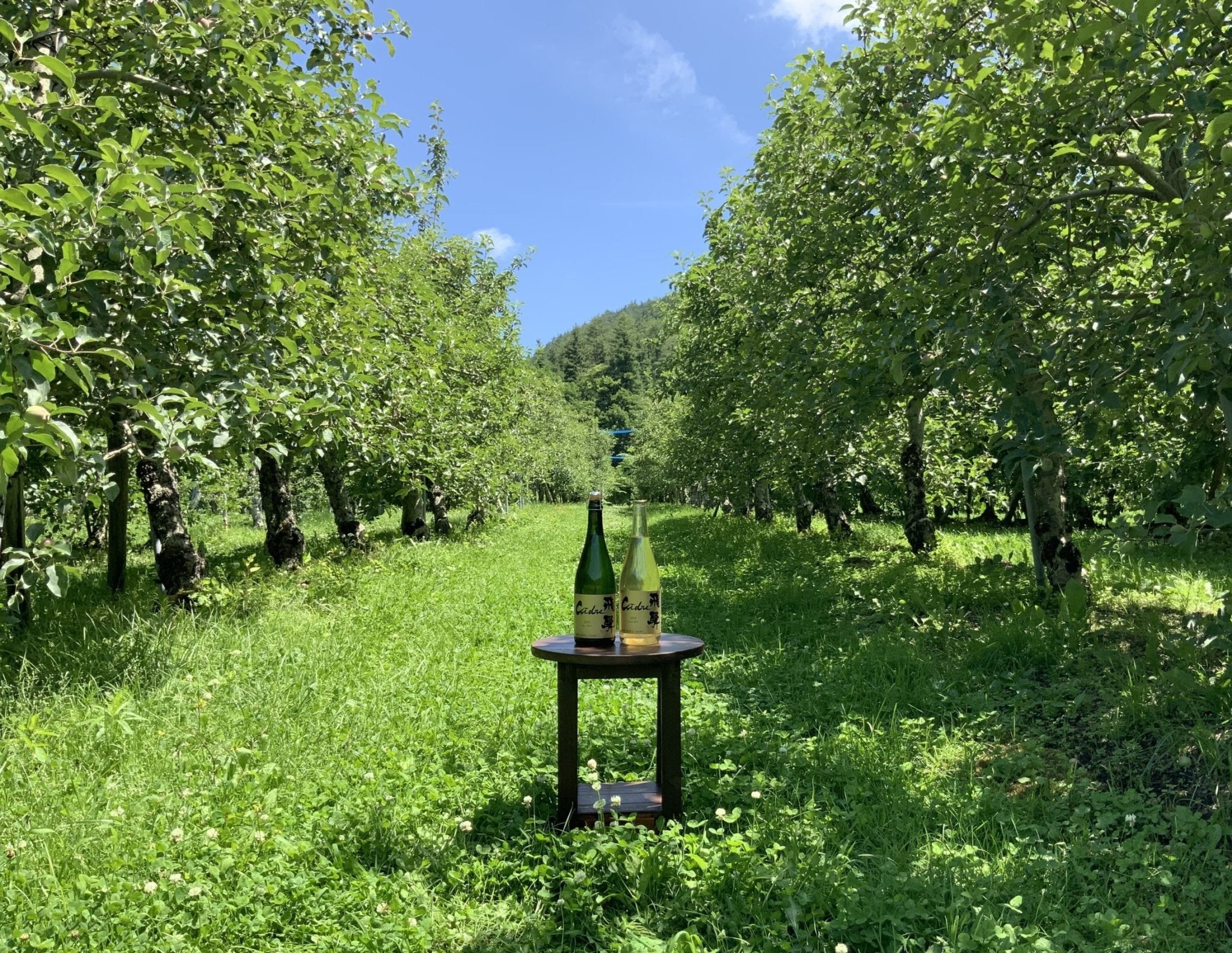 Cidre 飛騨 2020年7月1日より販売開始〜 - 木戸脇果樹園　オーチャードハウス