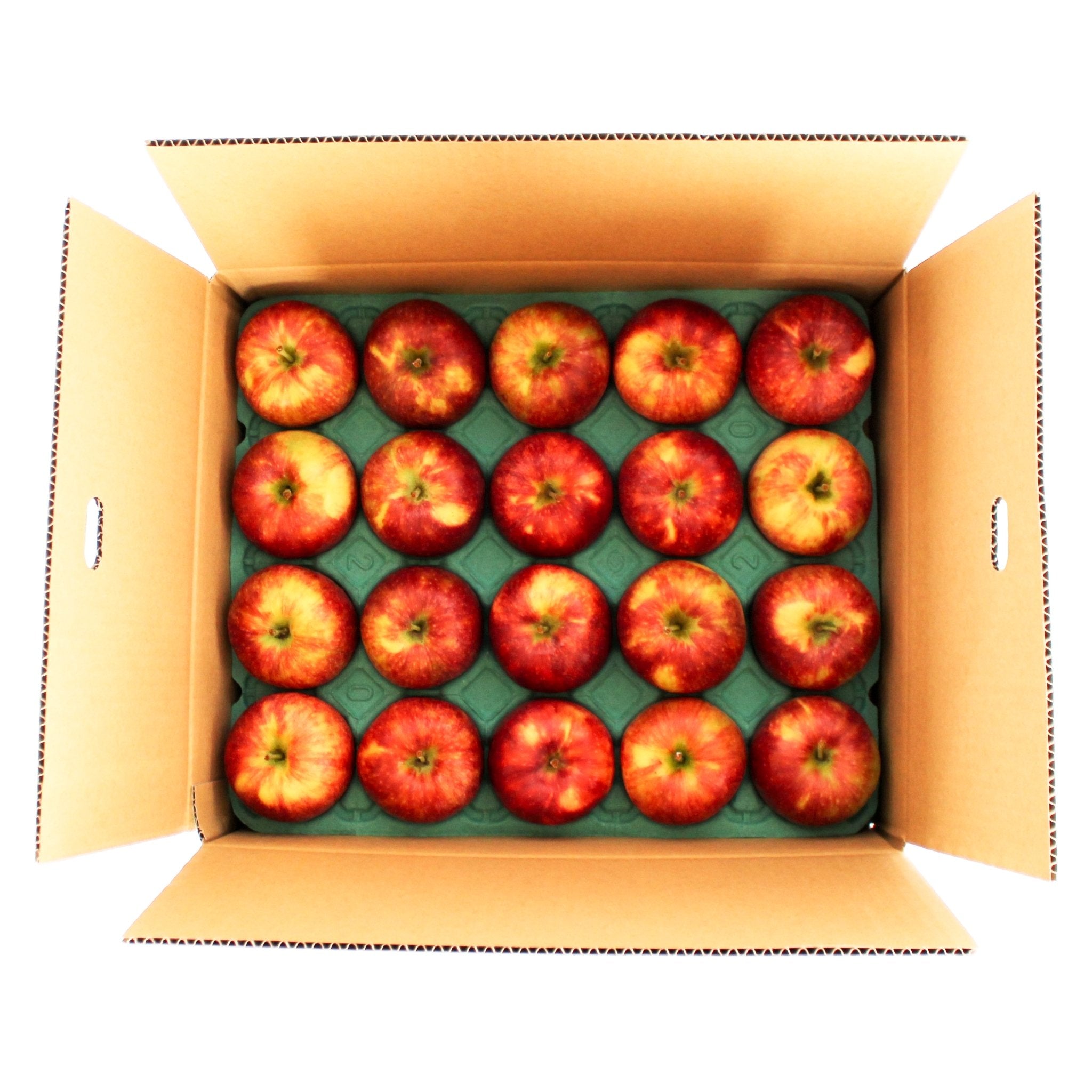 シナノレッド - 木戸脇果樹園