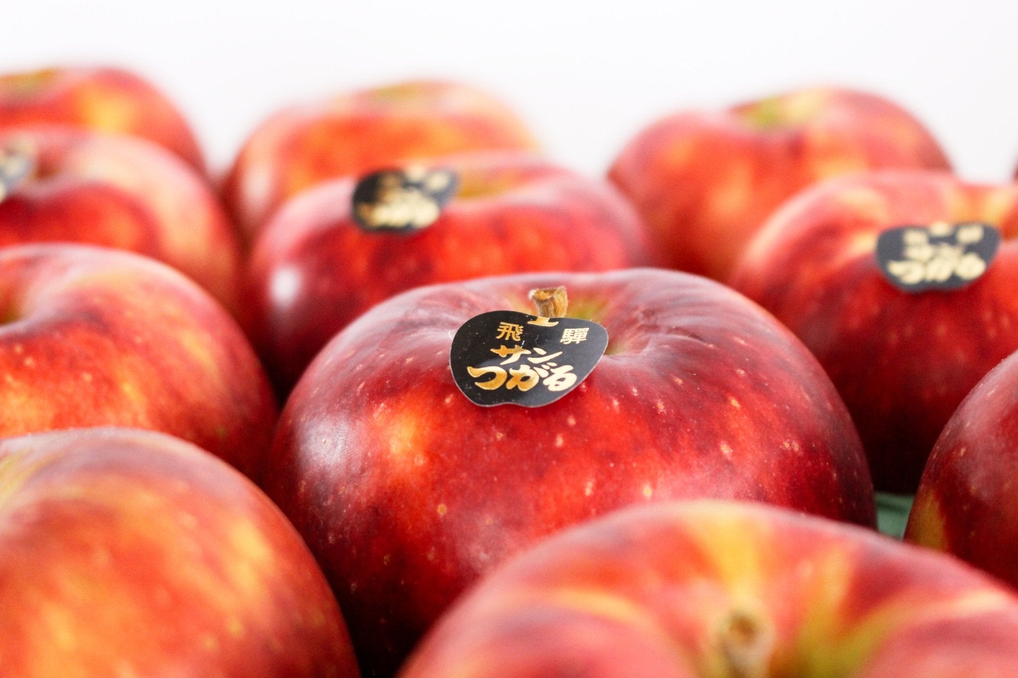 サンつがる - 木戸脇果樹園